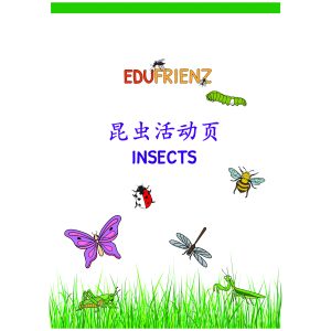 Chinese Insects Worksheets