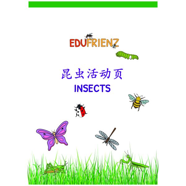 Chinese Insects Worksheets