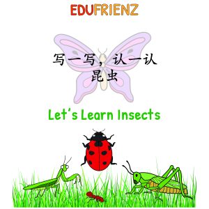 Insects Writing Chines Writing
