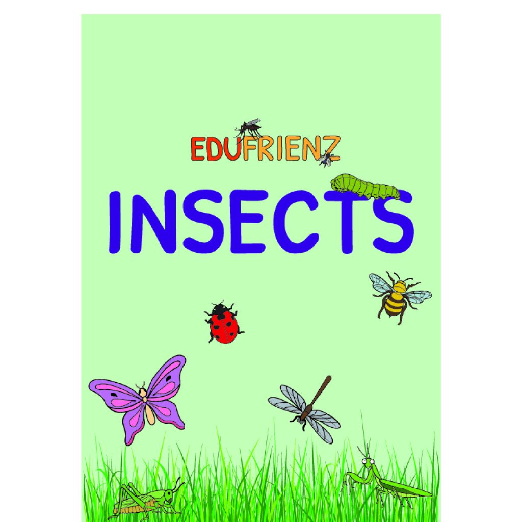 learning-about-insects-printable-insect-worksheets-for-kids