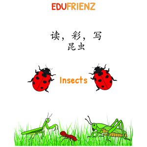 Insects Chinese Character Coloring