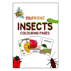 Kids Colouring Worksheets- Insects Colouring Worksheets