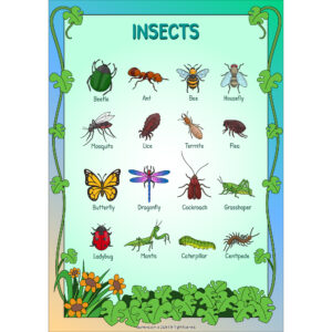 Digital Insect Poster